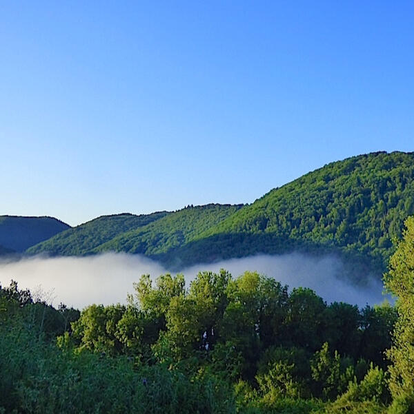 Une vue à couper le souffle sur la vallée du Viaur depuis nos chambres d’hôtes écologiques
