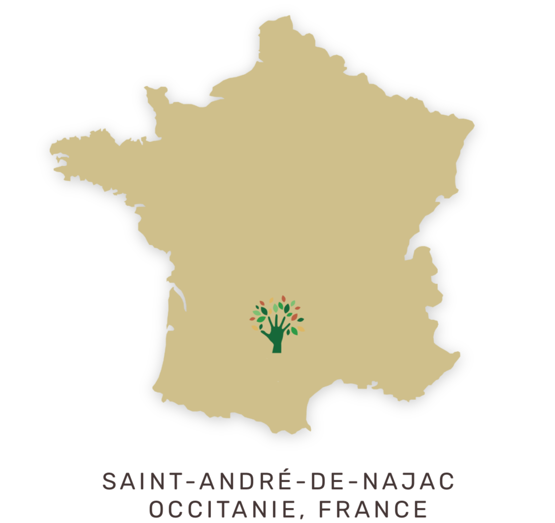 Saint André de Najac